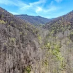 Wooded Land with 72 Acres in Naoma, West Virginia