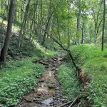 91 Acres in Spencer, West Virginia