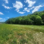 Unrestricted Land with 51.48 Acres in Waynesboro, Tennessee